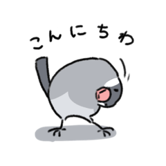 [LINEスタンプ] 文鳥の大吉くん