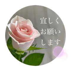 [LINEスタンプ] bless of elegant flowers