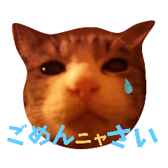 [LINEスタンプ] 我が家の猫の可愛いシュールなスタンプ♪