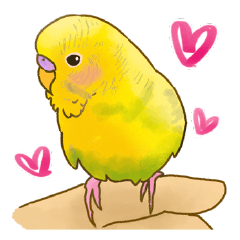 [LINEスタンプ] 可愛いセキセイインコのピーちゃん