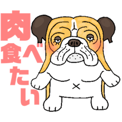 [LINEスタンプ] イヌの日々だ