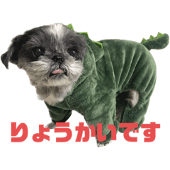 [LINEスタンプ] シーズーしずく