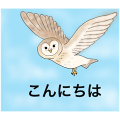 [LINEスタンプ] 大好きフクロウ