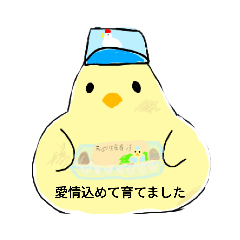 [LINEスタンプ] ひよ鳥どり2