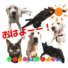 [LINEスタンプ] じじ子とルカくんのすたんぷ