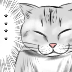 [LINEスタンプ] カスタムスタンプ@ねこ