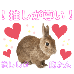 [LINEスタンプ] JOYちゃん♡2