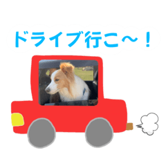 [LINEスタンプ] ボーダーコリー『ルカ』