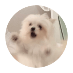 [LINEスタンプ] 表情犬(かわいーぬ)