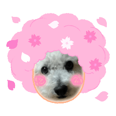 [LINEスタンプ] もこもこくんno.1