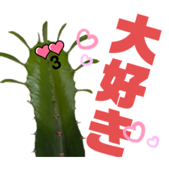 [LINEスタンプ] サボテンズ‼︎2