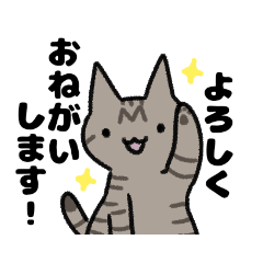 [LINEスタンプ] キジトラ日常スタンプ