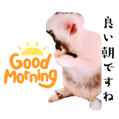 [LINEスタンプ] ミニうさぎのダッチ③