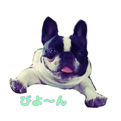 [LINEスタンプ] フレブル  エンエン