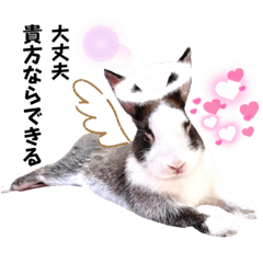 [LINEスタンプ] ミニうさぎのダッチ④仮装