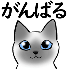 [LINEスタンプ] 猫スタンプートンキニーズー