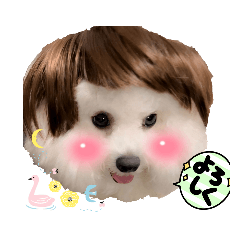 [LINEスタンプ] emmashoji