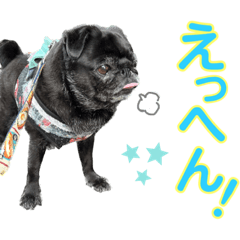 [LINEスタンプ] パグとプチブラ大好き生活4