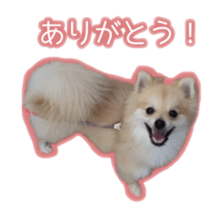 [LINEスタンプ] ポポとカリン 1