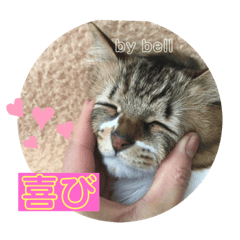 [LINEスタンプ] 守田家のfamily LINEスタンプ