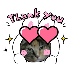 [LINEスタンプ] ねこちゃんno.1