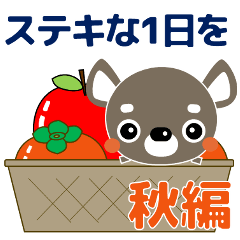 [LINEスタンプ] 【敬語】大人の優しい気遣い ちわわ 秋