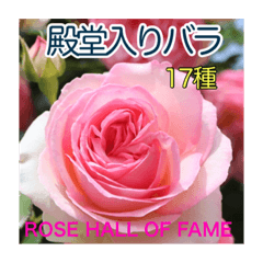 [LINEスタンプ] 殿堂入りバラ17種 ROSE HALL OF FAME