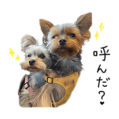 [LINEスタンプ] 福と詩