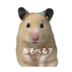 [LINEスタンプ] ほたまるしょうがっこう