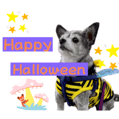 [LINEスタンプ] マイロ秋バージョン