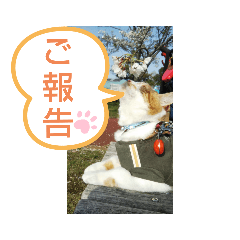 [LINEスタンプ] ピコスタイル②