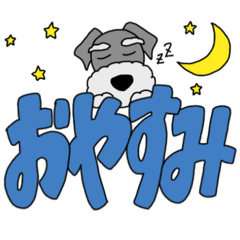 [LINEスタンプ] シュナの日常スタンプ2