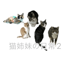 [LINEスタンプ] 猫姉妹の日常2