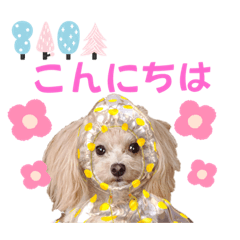 [LINEスタンプ] マロンあいさつスタンプ