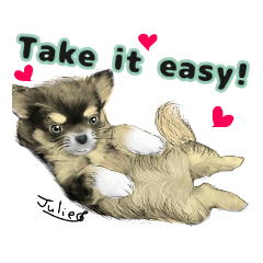 [LINEスタンプ] Dog Chihuahua -Julie-