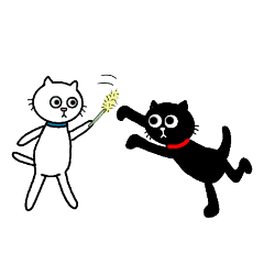 [LINEスタンプ] 黒猫ぽんと白猫はくの画像（メイン）