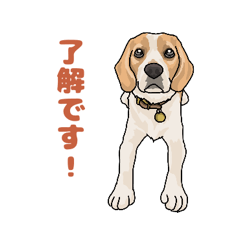 [LINEスタンプ] ビーグル4