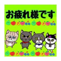 [LINEスタンプ] イエネコ いつものおしゃペリ