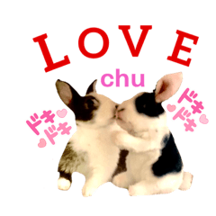 [LINEスタンプ] ミニうさぎのダッチ♡仲間