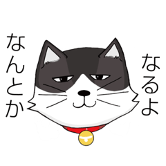 [LINEスタンプ] ジト目猫ちゃん