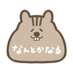 [LINEスタンプ] あじょりすはポジティブちゃん