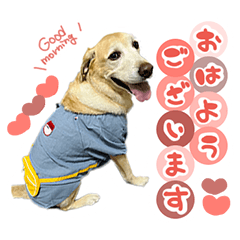 [LINEスタンプ] そらと.