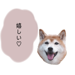 [LINEスタンプ] an＆komachi 4