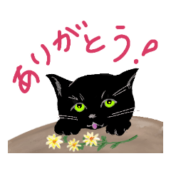 [LINEスタンプ] 黒猫ナンの日常