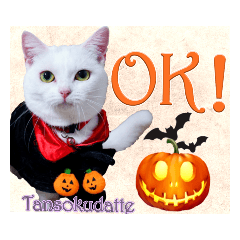 [LINEスタンプ] ハッピーハロウィン！短足だっていいじゃん1