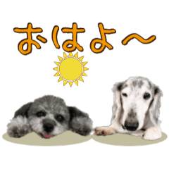 [LINEスタンプ] ワンコさん達の日常スタンプ