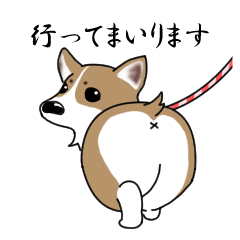 [LINEスタンプ] コーギーのシフォンちゃん〈敬語スタンプ〉