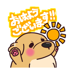 [LINEスタンプ] ゆるゴルスタンプ