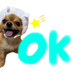 [LINEスタンプ] クマとタラの日常