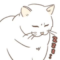 [LINEスタンプ] うごく！我が家の白い猫